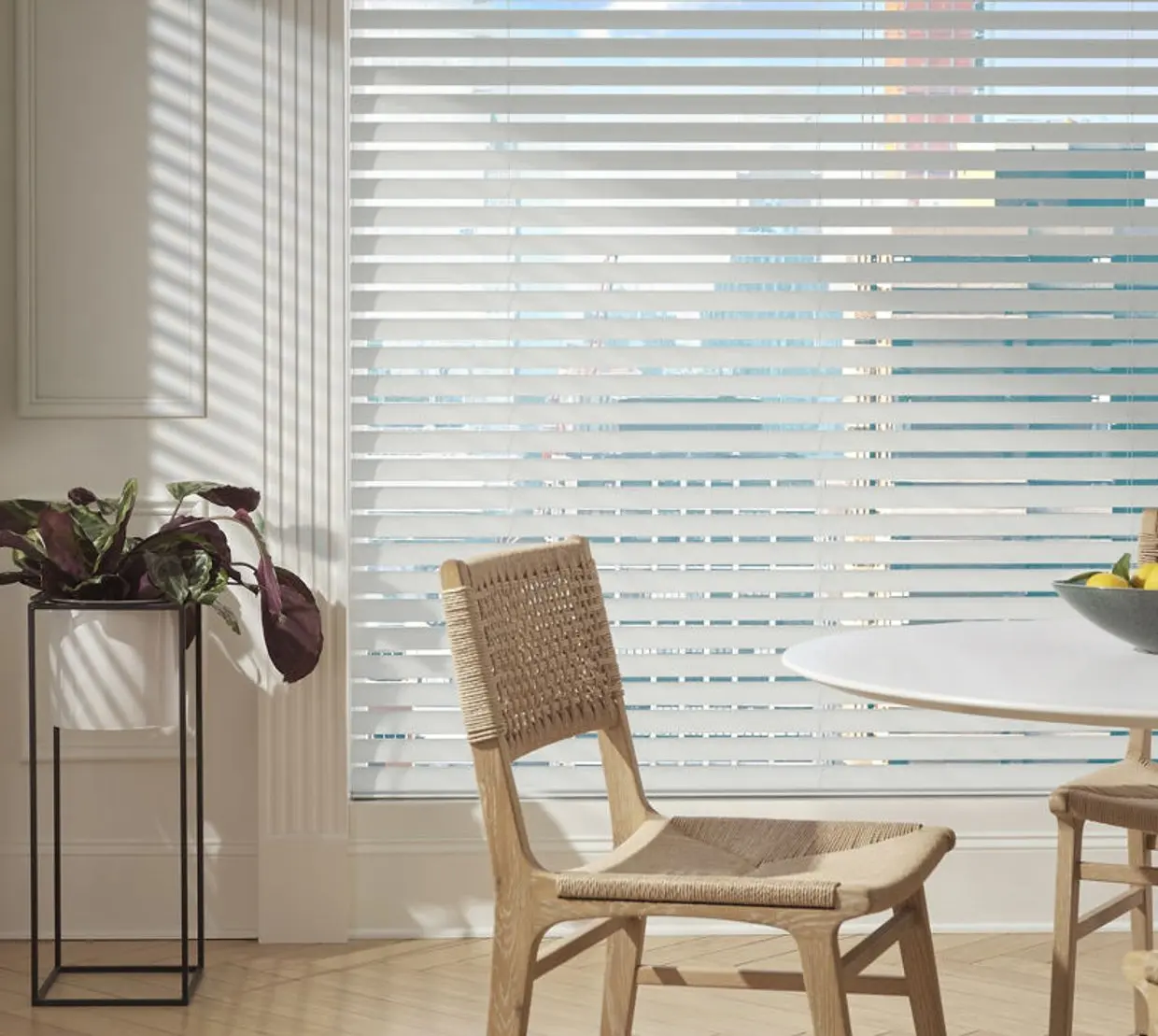 Aria™ Roller Shades — Living Room