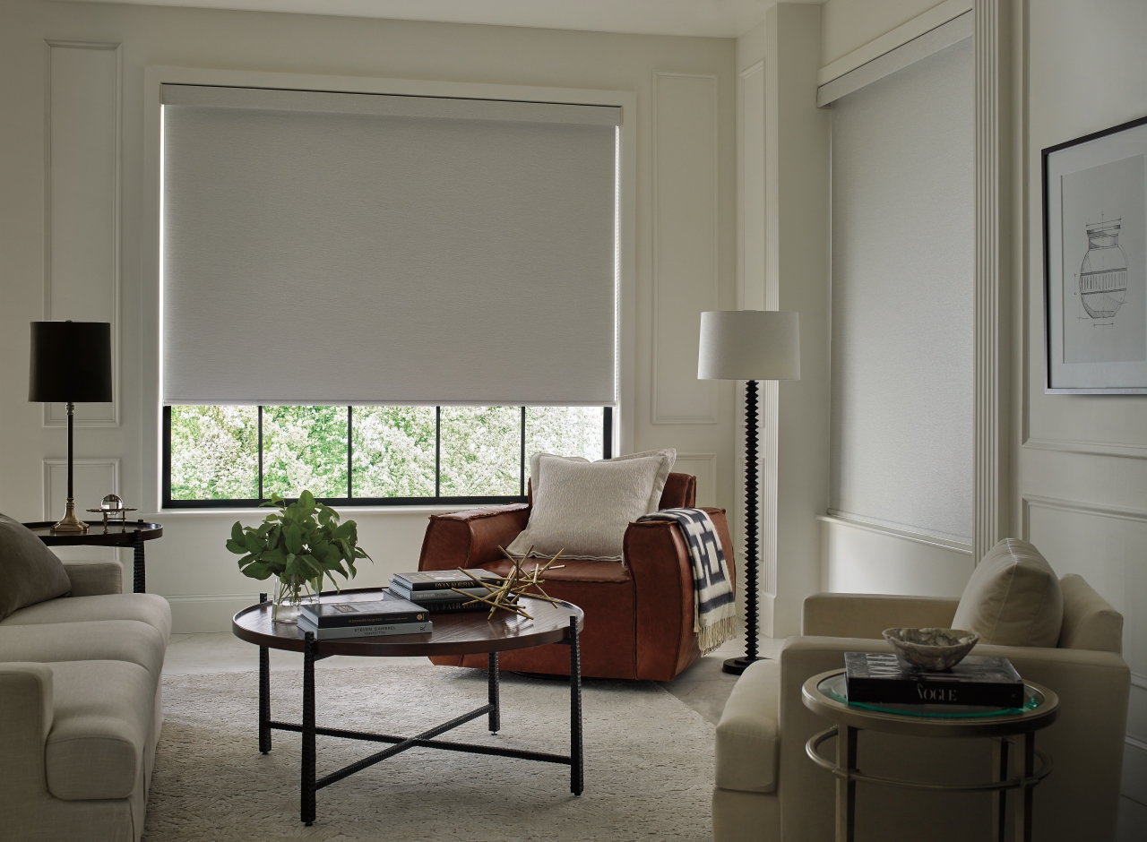 Designer Roller Shades — Living Room