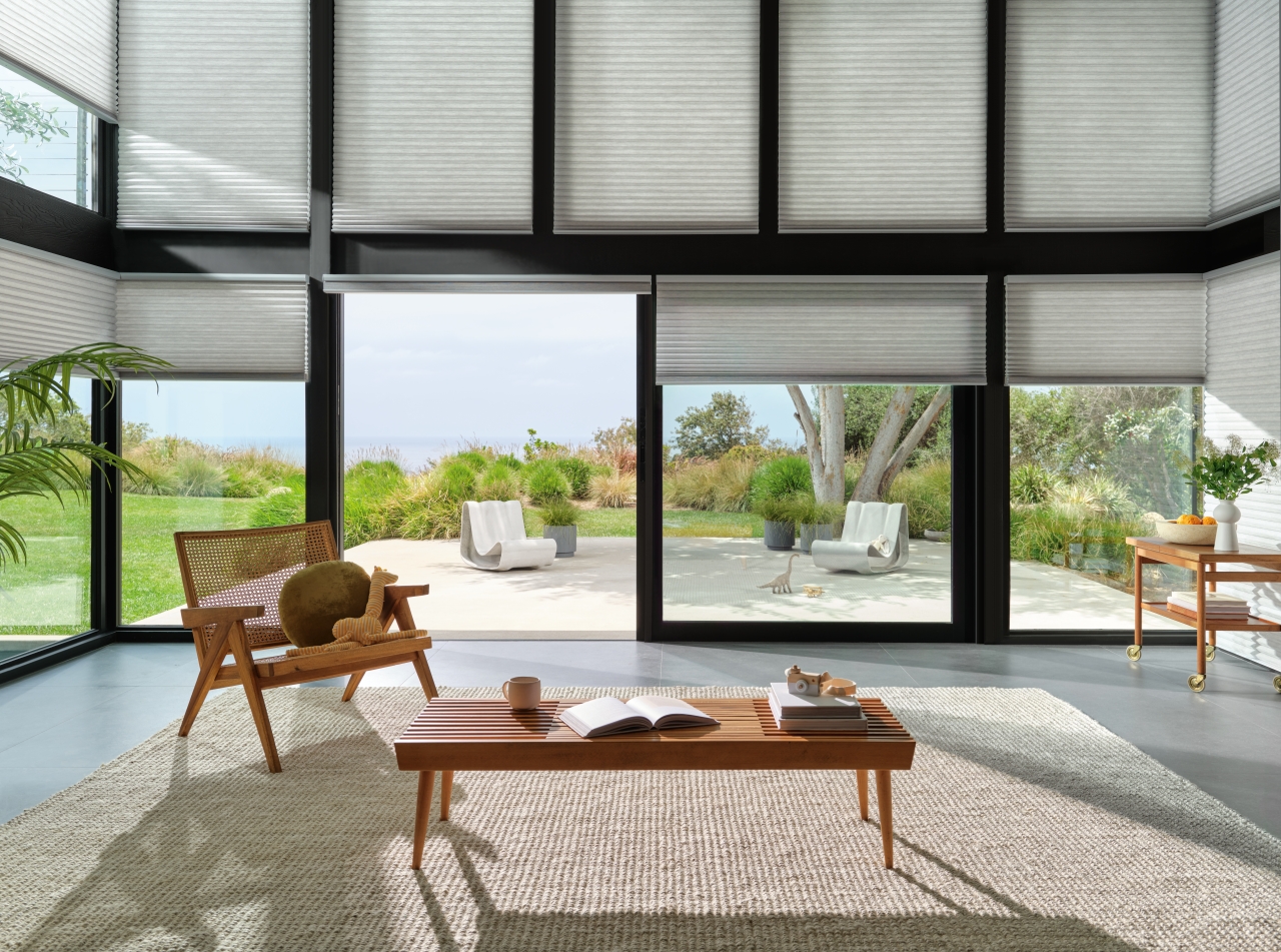 Duette® Honeycomb Shades — Living Room