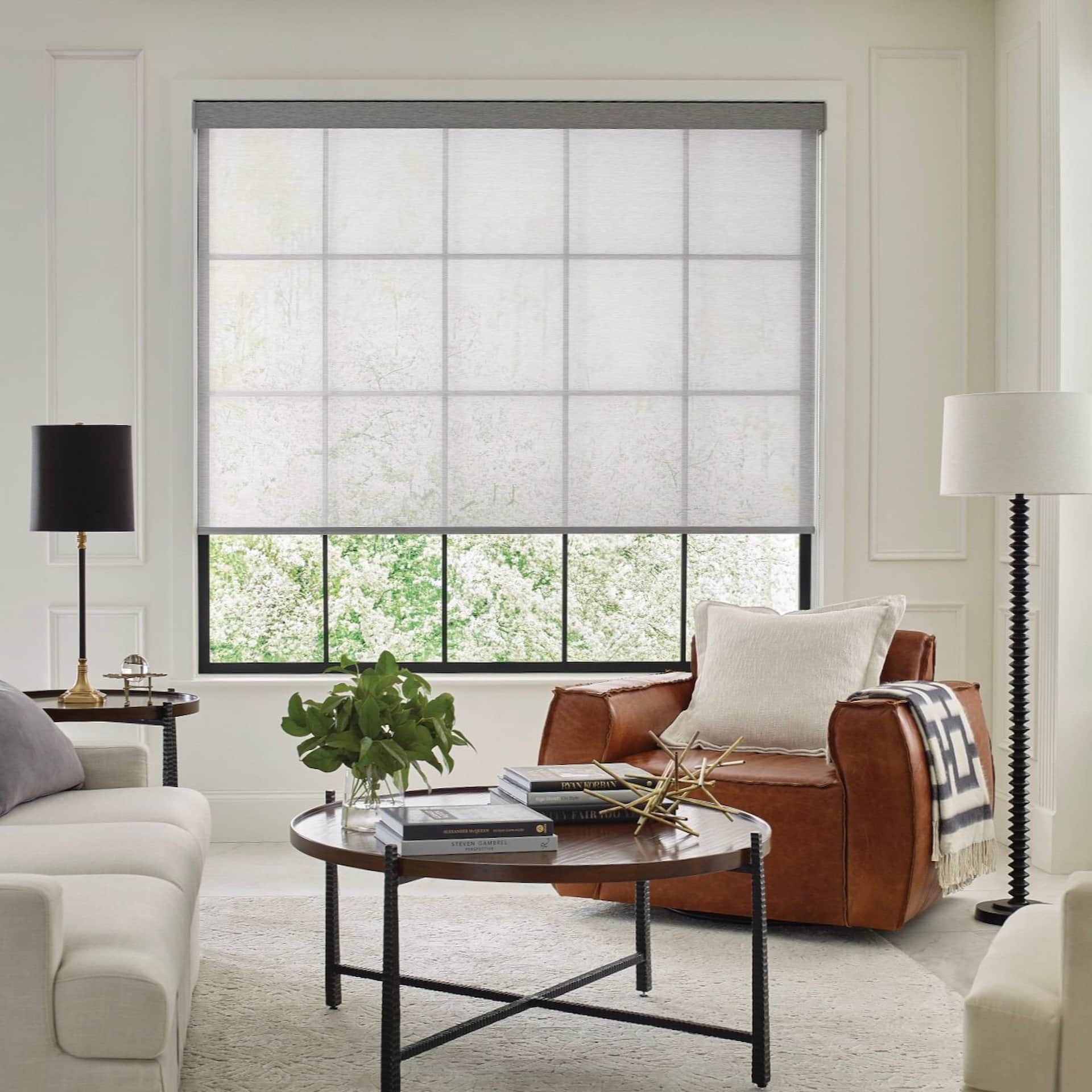 Designer Roller Shades — Living Room