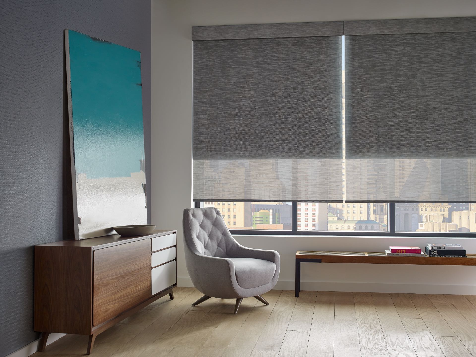 Designer Screen™ Solar Shades — Living Room