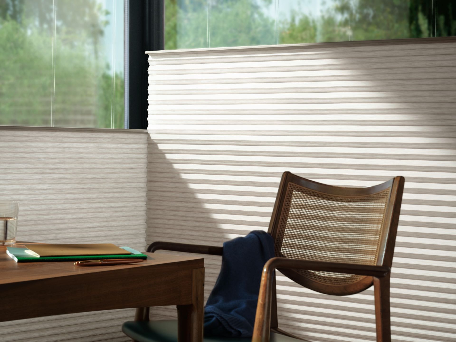 Duette® Honeycomb Shades — Office