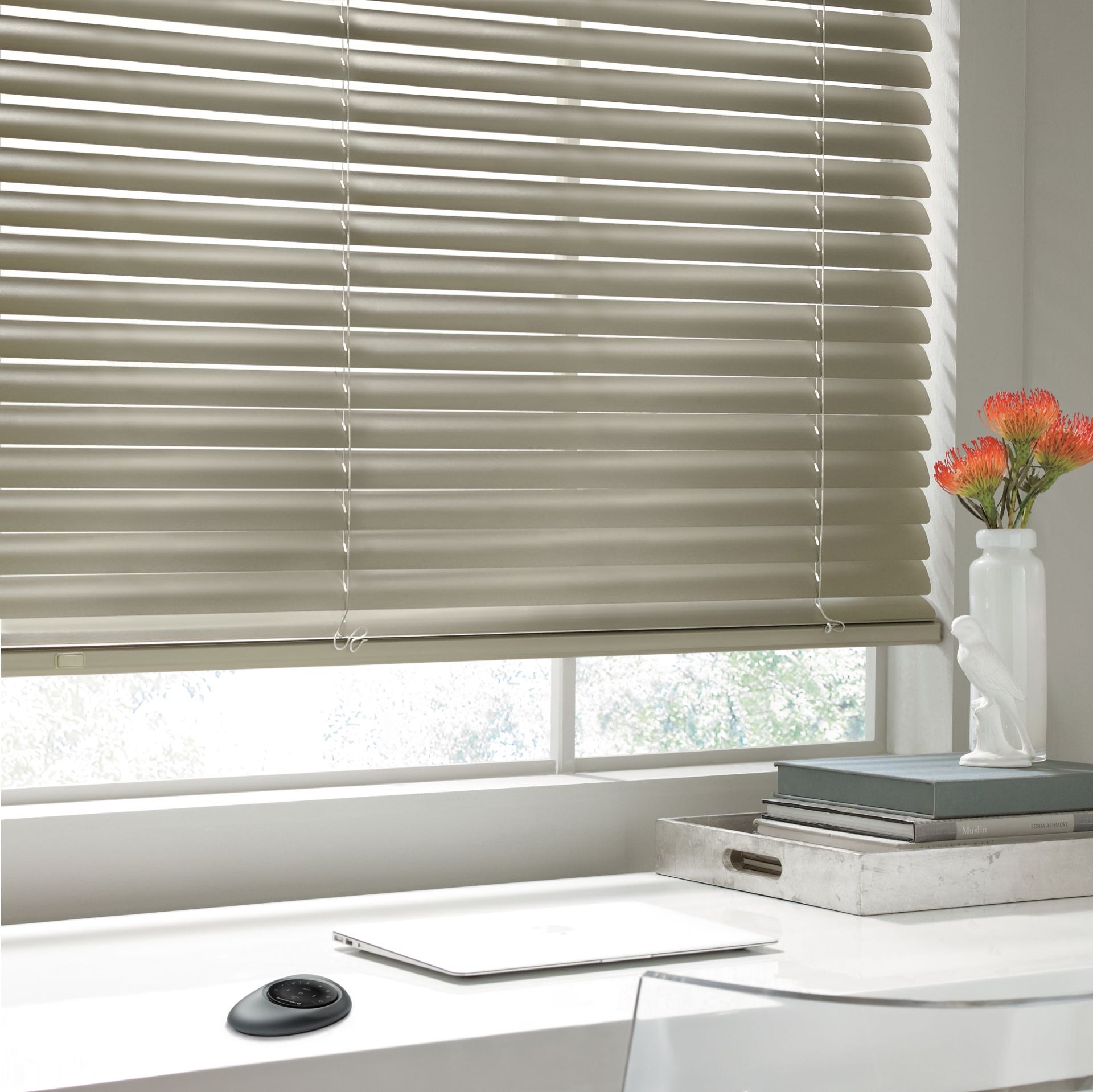 Modern Precious Metals™ Blinds — Living Room